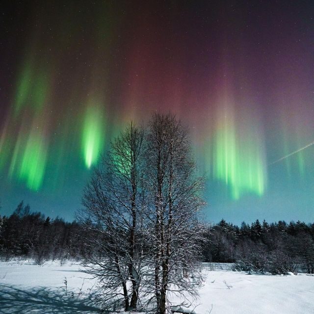 Rovaniemi: Small Group Aurora Hunt-full money back guarantee - Who this tour fits best (and who might want a different style)