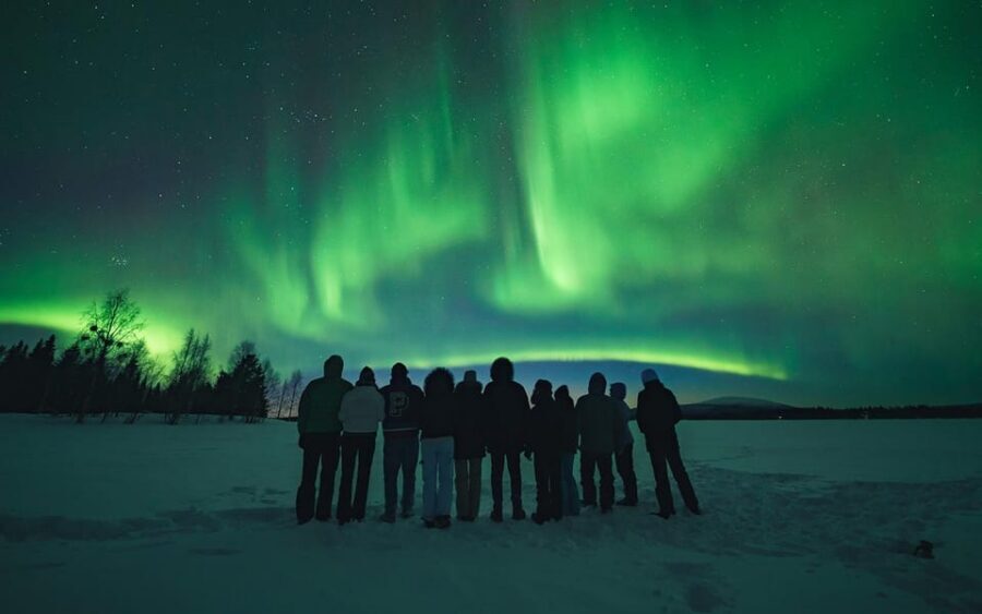 Rovaniemi: Small Group Aurora Hunt-full money back guarantee - The pickup rhythm in Rovaniemi: flexible start, long night, clear expectations