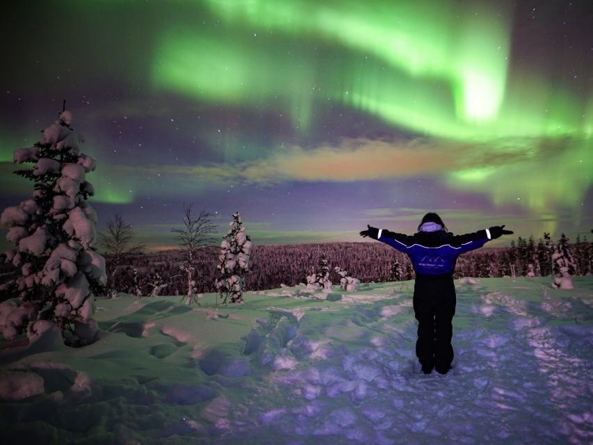 Rovaniemi: Small-Group Northern Lights Wilderness Tour - Key highlights worth knowing before you go