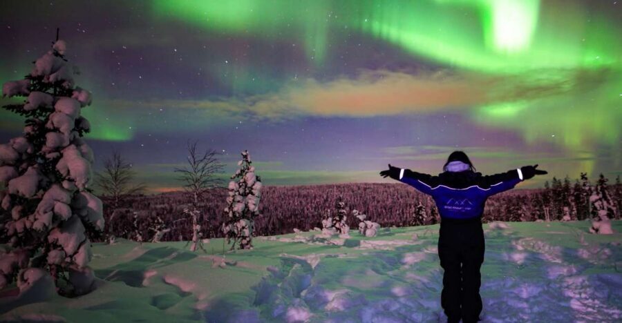 Rovaniemi: Small-Group Northern Lights Wilderness Tour - Price and Value: Is $136 Worth It?