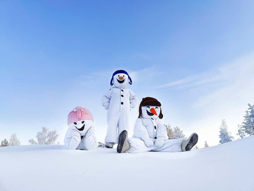 Rovaniemi: Snowman World Entrance Ticket - Snow labyrinth and snow art: the slower, cooler side of the playground