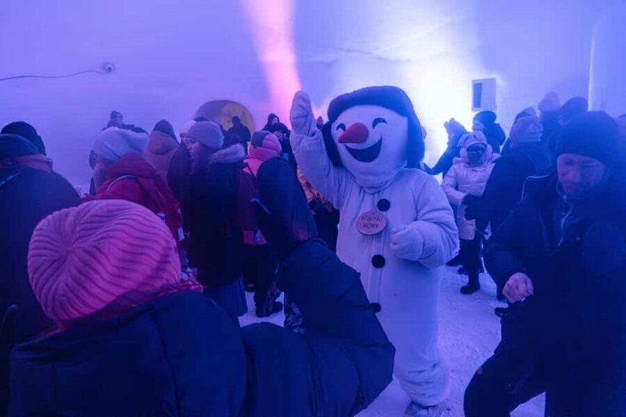 Rovaniemi: Snowman World Entrance Ticket - Ice Bar and Snow Restaurant: a cold drink break that feels like a show