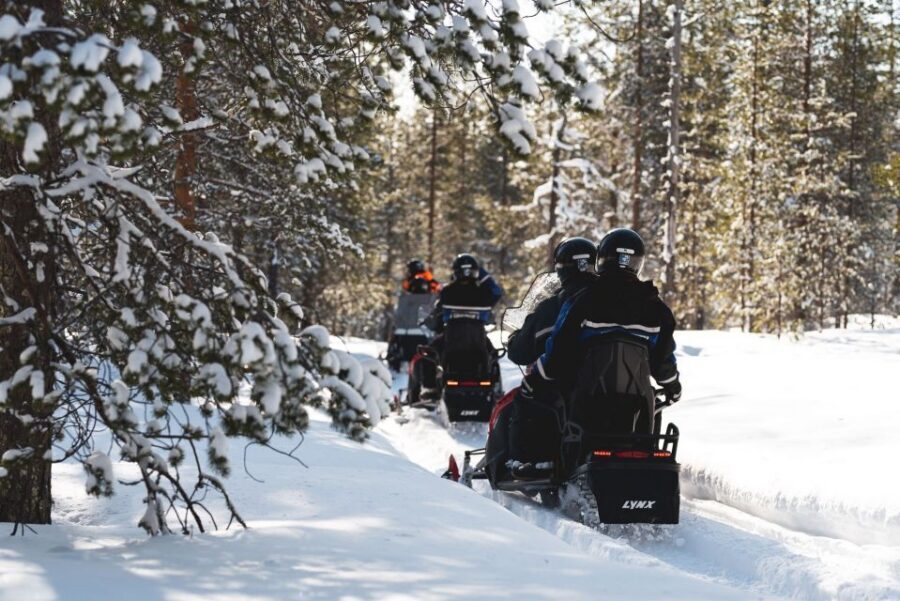 Rovaniemi: Snowmobile Adventure Tour for Adults Only - Key points before you start