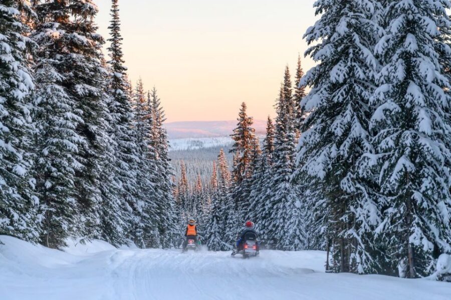 Rovaniemi: Snowmobile Safari Adventure - Timing in Rovaniemi: Picking Your Departure Like a Local