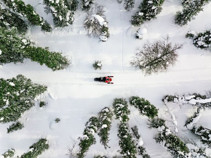 Rovaniemi: Snowmobile Safari Adventure - Where It Starts: AccessLapland Office and the Flow of Getting Ready