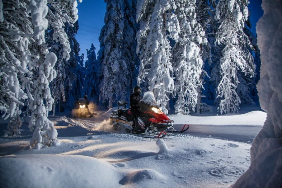 Rovaniemi: Snowmobile Safari & Campfire Evening Escape - Quick hits: what makes this safari worth your time