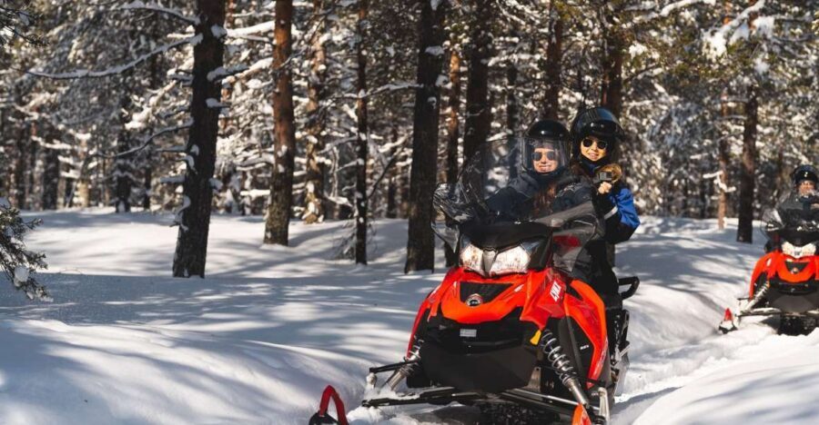 Rovaniemi: Snowmobile Safari into the Arctic Circle Forest - Key highlights to notice before you book