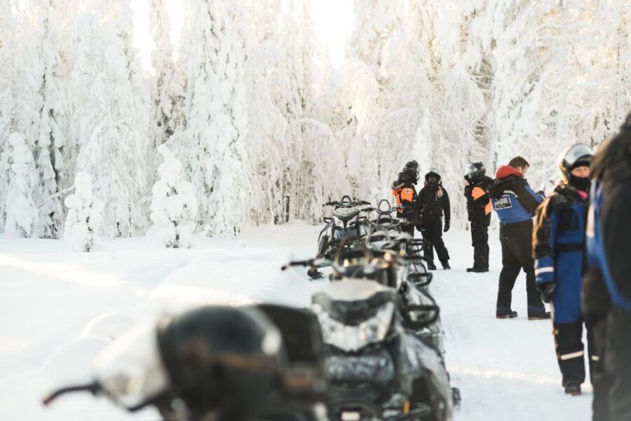 Rovaniemi: Snowmobile Safari into the Arctic Circle Forest - Price reality check: how $150 compares to what you’re actually doing