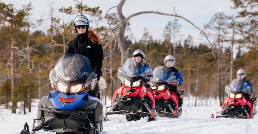 Rovaniemi: Snowmobile Safari into the Wilderness - Key things I’d watch for