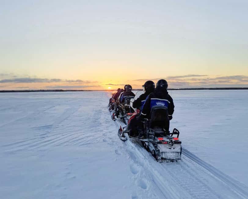 Rovaniemi: Snowmobile Safari into the Wilderness - Pine Forests and Frozen Marshlands: What You’ll See When You Ride