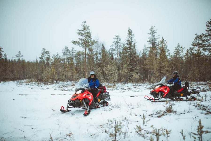 Rovaniemi: Snowmobile Safari into the Wilderness - The Silence Stop: Why That Pause is Worth the Time