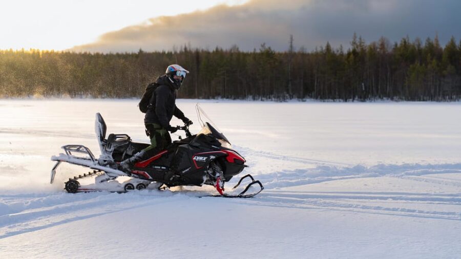 Rovaniemi: Snowmobile Safari, Reindeer & Husky Sleigh Ride - Reindeer farm and the Arctic Circle driving certificate