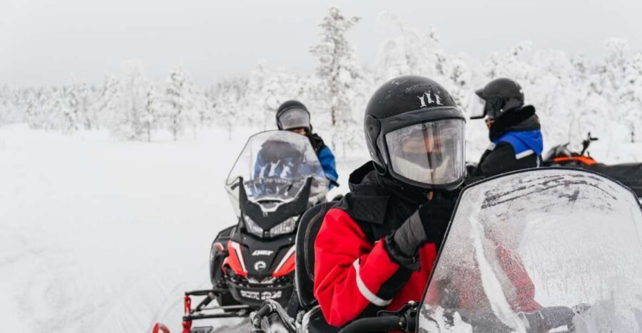 Rovaniemi: Snowmobile Safari, Reindeer & Husky Sleigh Ride - Price and value: is $281 a good deal?