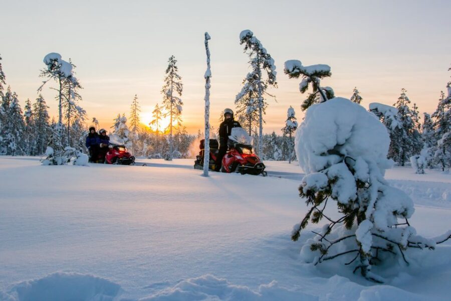 Rovaniemi: Snowmobile Safari to a Reindeer Farm - How Safartica Turns a Snowmobile Ride Into a Reindeer-Farm Day