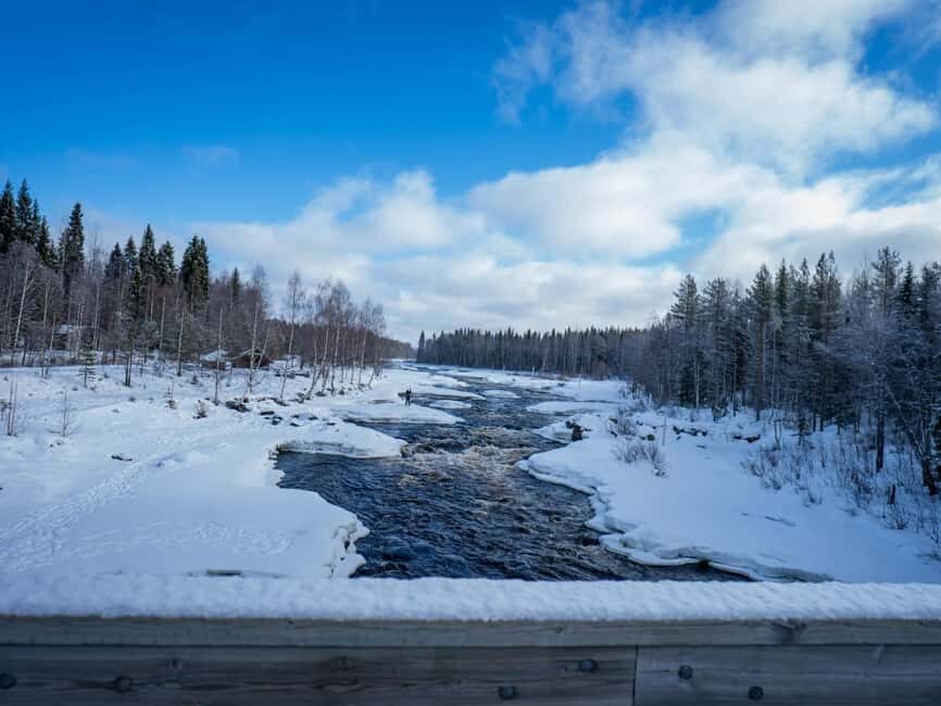 Rovaniemi: Snowshoe Adventure at Vikaköngäs & Barbeque - Comfort and clothing: how to not freeze through the snowshoeing