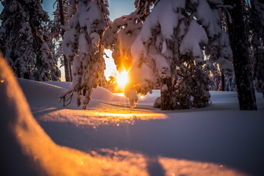 Rovaniemi: Snowshoe Wilderness Adventure - Why Rovaniemi’s Snowshoe Wilderness Adventure Feels Different Than a Basic Walk