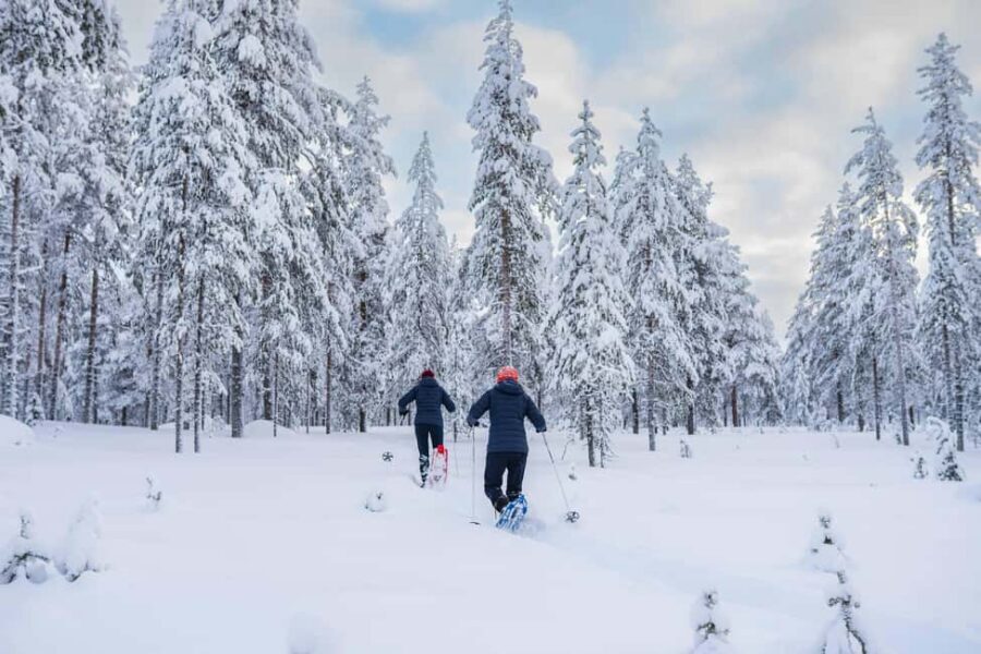 Rovaniemi: Snowshoe Wilderness Adventure - The Pro Photographer Guide: Better Pictures Without Needing a Photo Degree