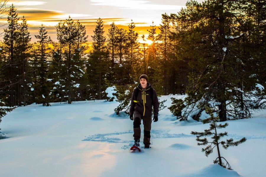 Rovaniemi: Snowshoe Wilderness Adventure - Gear and Comfort: What’s Provided, What You Still Need to Watch
