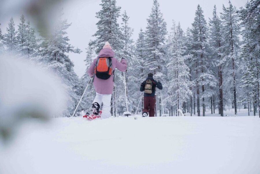 Rovaniemi: Snowshoe Wilderness Adventure - Price and Value Check at $119 for 3 Hours