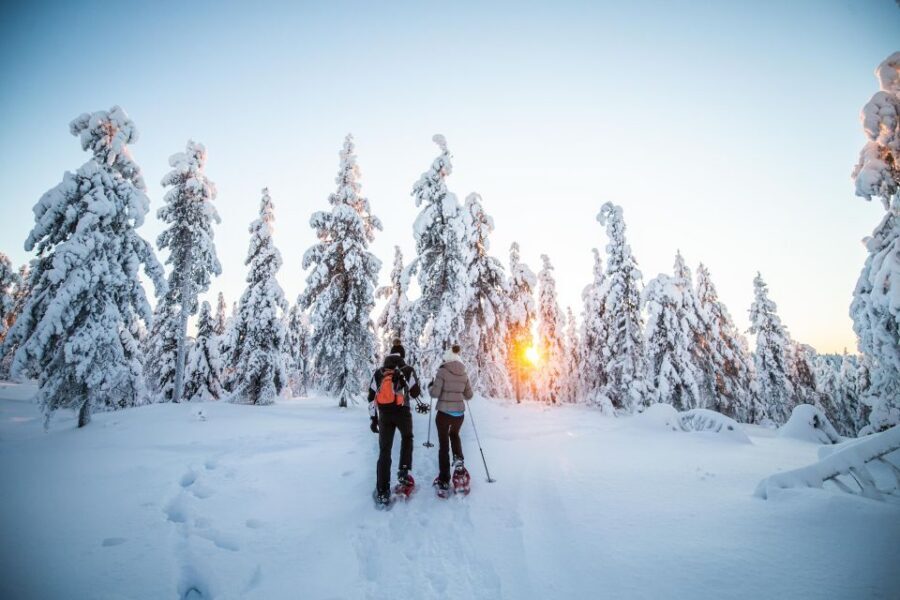 Rovaniemi: Snowshoe Wilderness Adventure - Who Should Book This Snowshoe Wilderness Photo Adventure