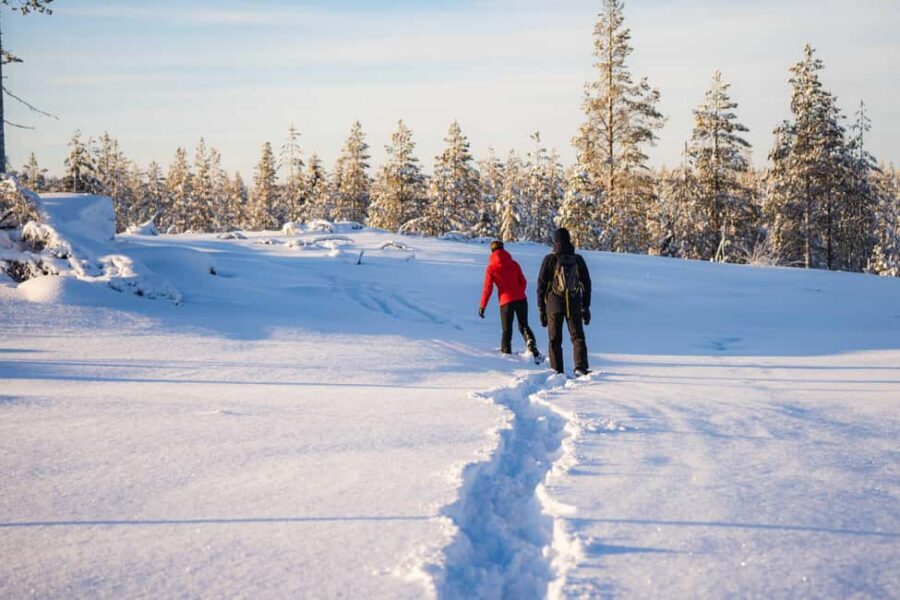 Rovaniemi: Snowshoe Wilderness Adventure - Should You Book This Snowshoe Wilderness Adventure?
