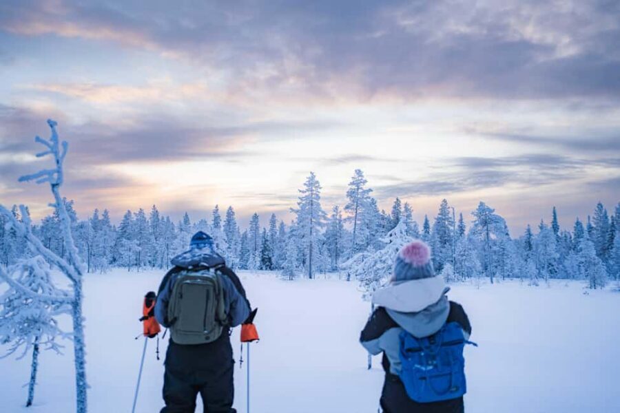 Rovaniemi: Snowshoe Wilderness Adventure - Snowshoeing Through Deep Snow: What the Few Kilometers Really Gives You