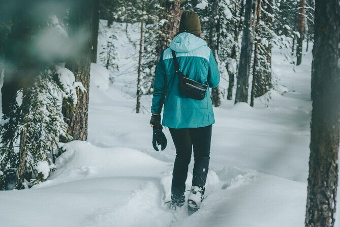 Rovaniemi: Snowshoeing in a magical snowy forest - Key things that make this snowshoe walk worth your time
