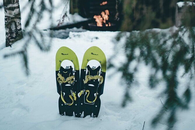 Rovaniemi: Snowshoeing in a magical snowy forest - A half-day escape that keeps the winter wonder feeling intact
