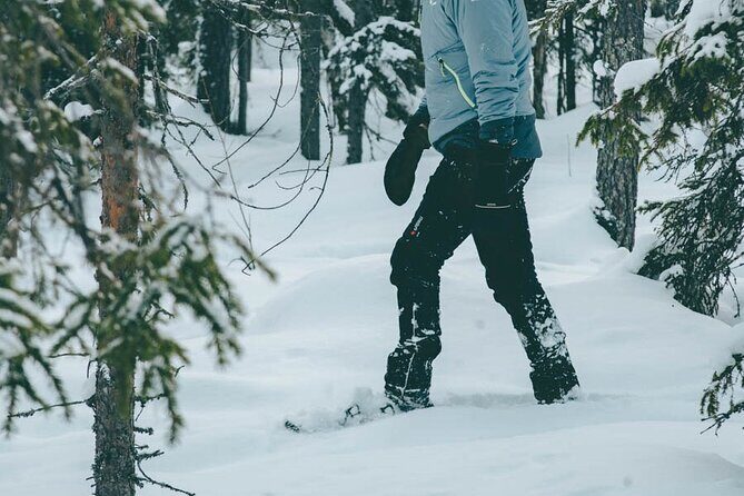 Rovaniemi: Snowshoeing in a magical snowy forest - Fire-side pause: hot juice, snacks, and the warmth factor