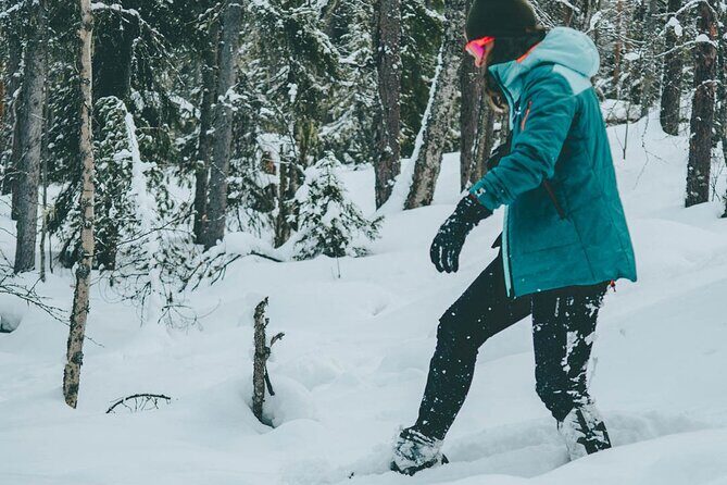 Rovaniemi: Snowshoeing in a magical snowy forest - Price and value: is $98.33 a fair deal?