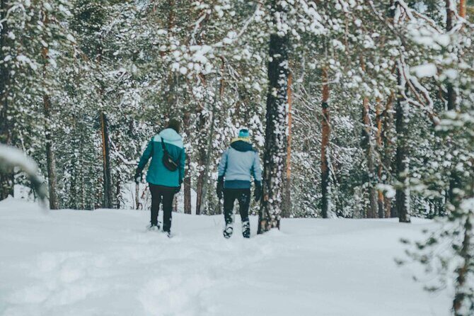 Rovaniemi: Snowshoeing in a magical snowy forest - Who this snowshoeing trip is best for