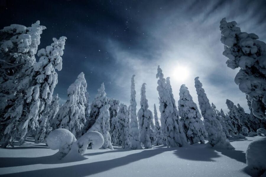 Rovaniemi: Snowy Forest Night Hike with Northern Lights - Snowshoe Night Magic in Rovaniemi’s Arctic Forest