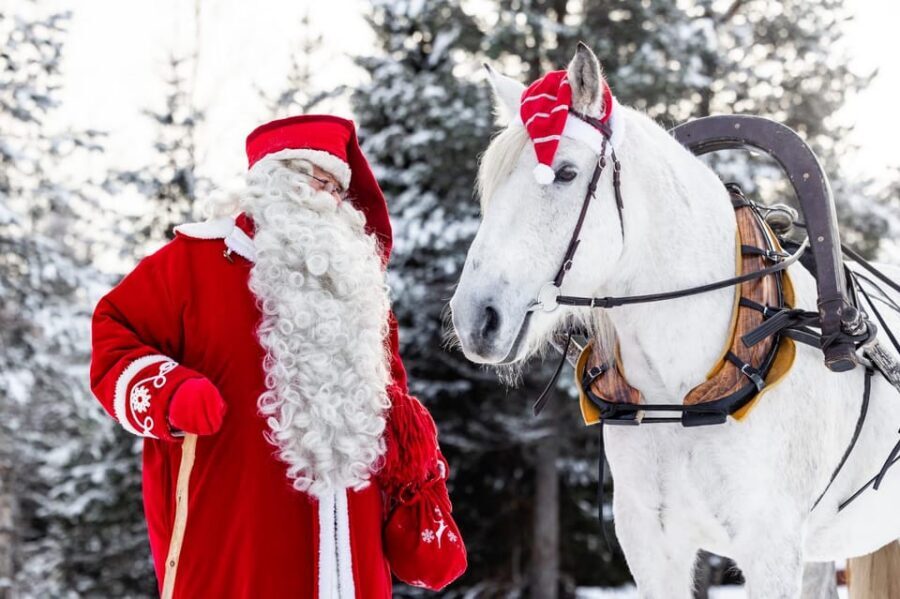 Rovaniemi: Traditional Finnhorse Sleigh Ride at SCV (3km) - The 3 km sleigh ride: snow crunch, starry sky, and warm blankets