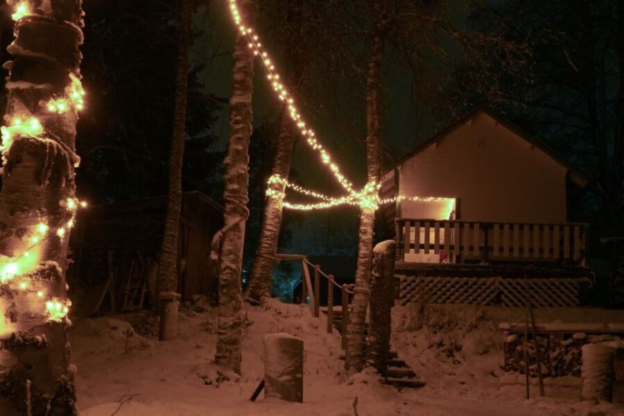 Rovaniemi: Traditional Sauna and Ice Swimming Experience - The sauna rhythm: stones, steam, and that fire-and-water sound