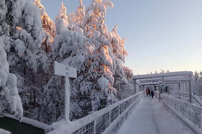 Rovaniemi: Trip to Ranua Zoo with Tickets Included - Guide Style: Mostly Self-Guided Inside the Zoo