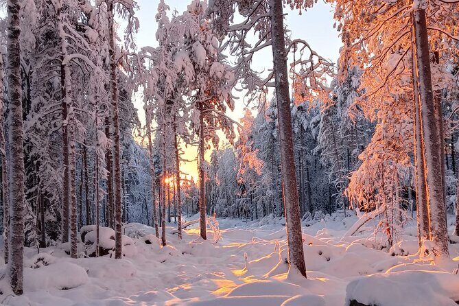 Rovaniemi: Trip to Ranua Zoo with Tickets Included - Value Check: Is $120.15 Worth It?