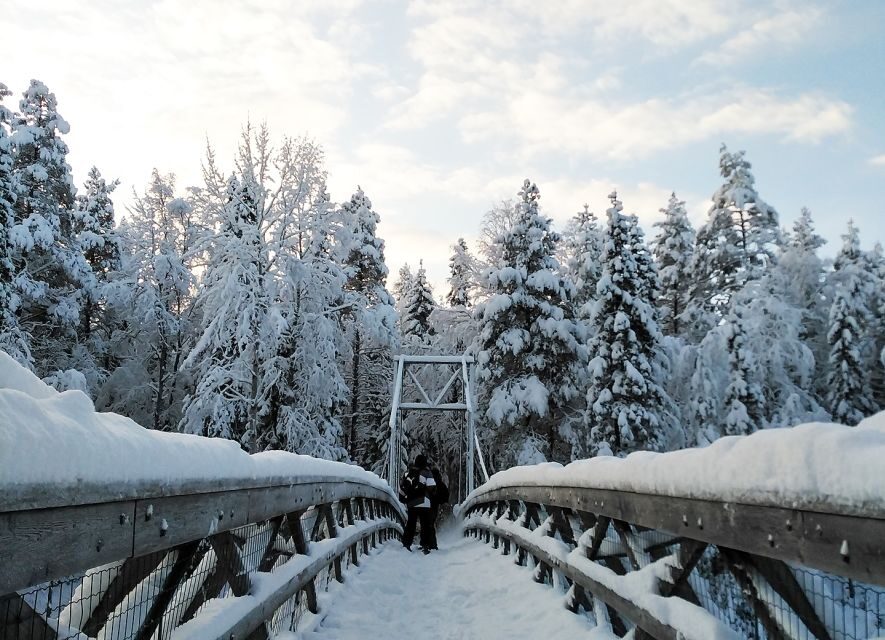 Rovaniemi: Vaattunki Hiking Arctic Circle Trail - The hike itself: forests, marsh edges, and a pace that actually works