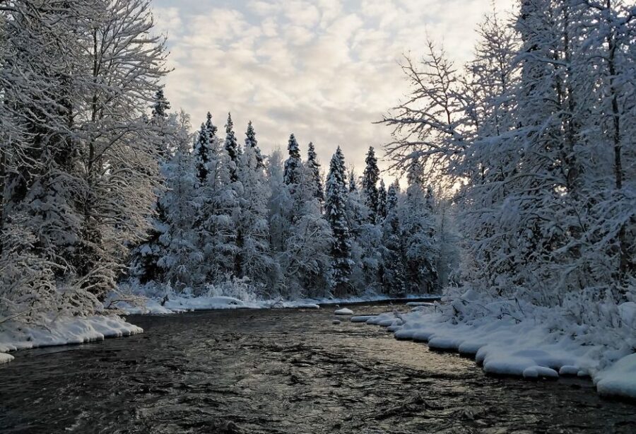 Rovaniemi: Vaattunki Hiking Arctic Circle Trail - Who should book the Vaattunki Arctic Circle hike?