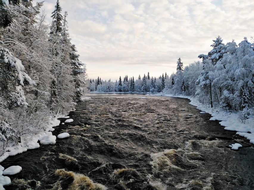 Rovaniemi: Vaattunki Hiking Arctic Circle Trail - Price and value: why $104 makes sense for what you get