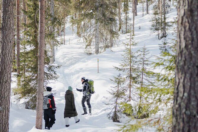 Rovaniemi - Visit to The Frozen Waterfalls of Korouoma - Why Korouoma Canyon is worth the drive from Rovaniemi