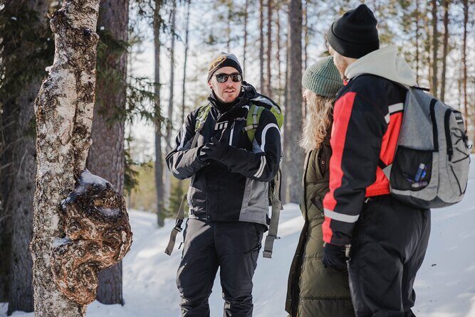 Rovaniemi - Visit to The Frozen Waterfalls of Korouoma - Wildlife moments and forest details you might spot