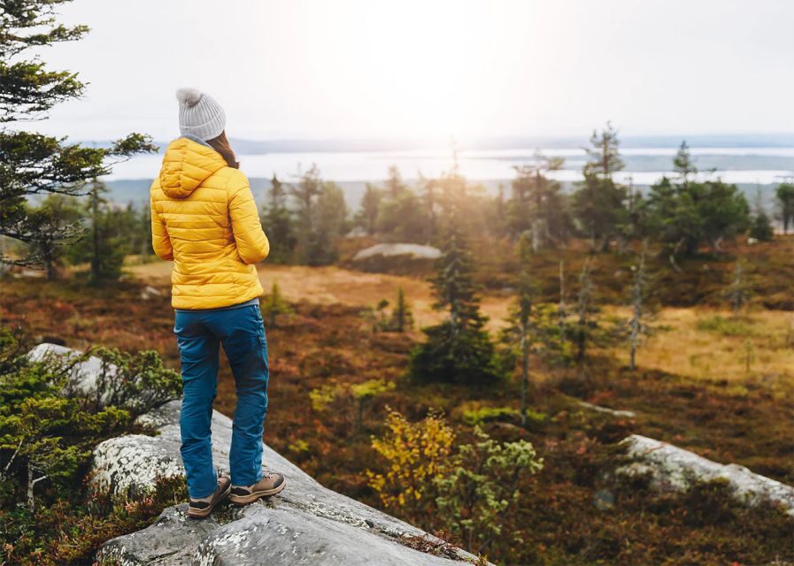 Rovaniemi: Wild Moose Safari - Sunset Break on a Frozen Lake: Snacks and the Midnight Sun Feeling