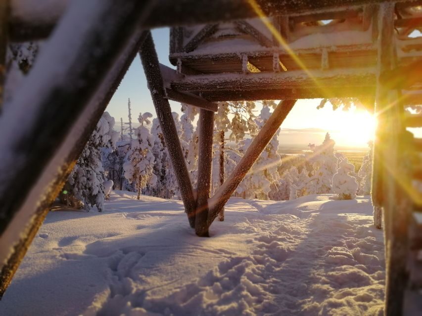 Rovaniemi: Wilderness Tour - What to bring: the one item that matters most