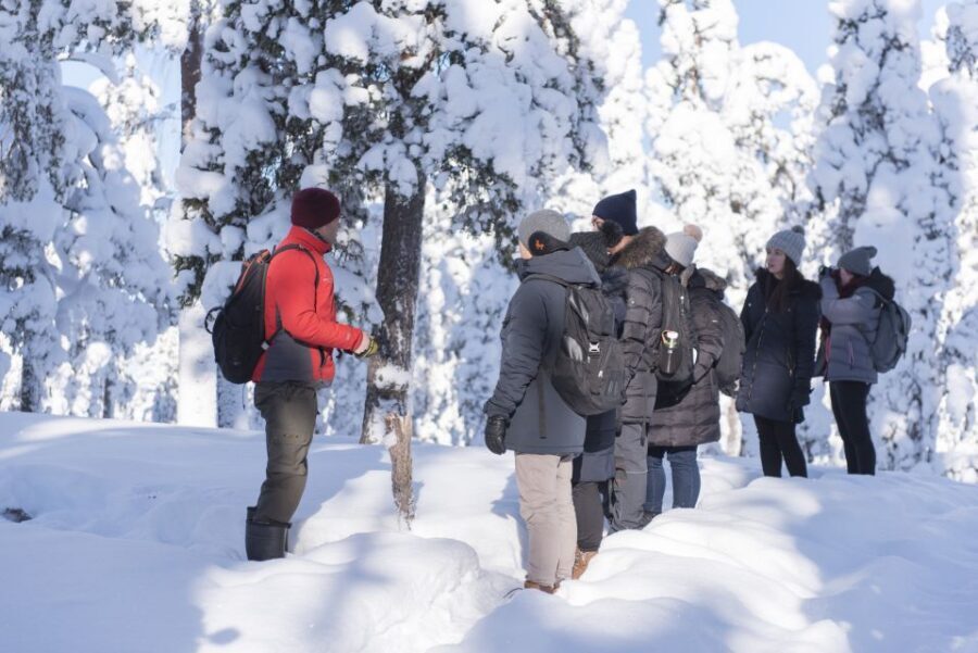 Rovaniemi: Wilderness Tour - A 3.5-hour wilderness lesson that stays fun