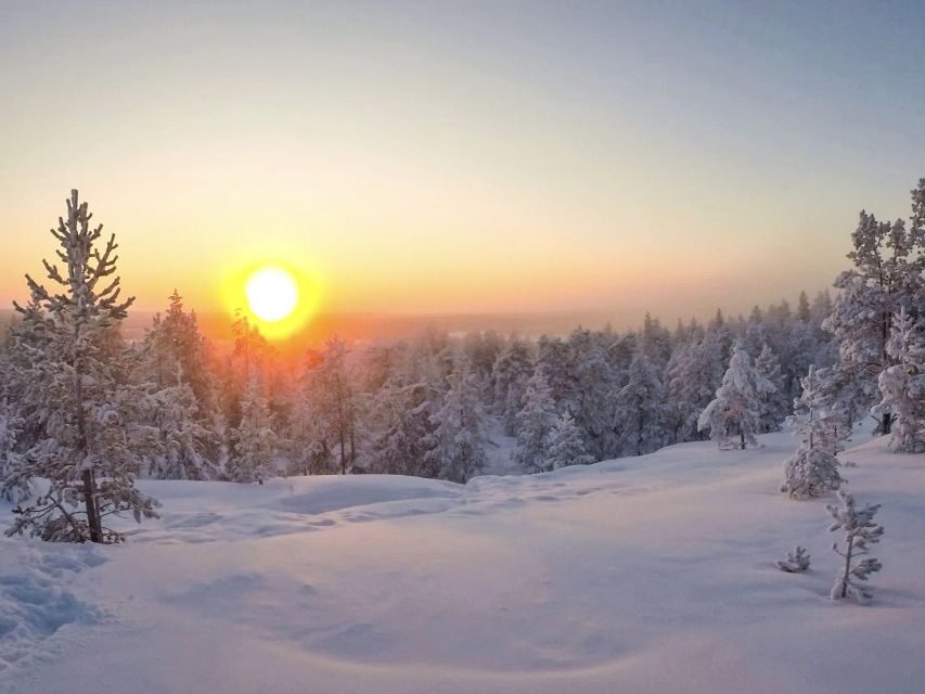 Rovaniemi: Wilderness Tour - The fire-starting lesson without matches (the real value)