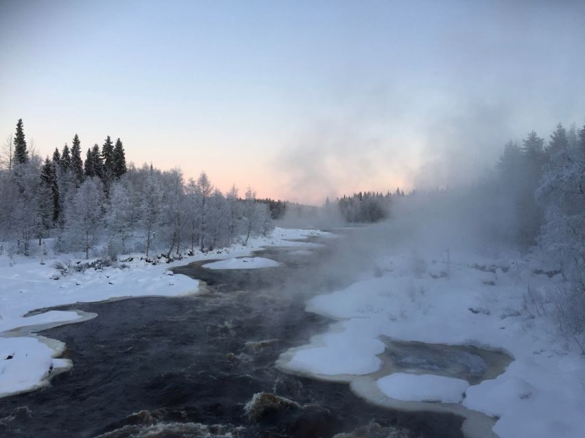 Rovaniemi: Wilderness Tour - The walk, the pauses, and why the viewing stop matters