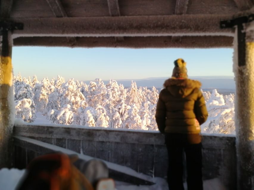 Rovaniemi: Wilderness Tour - Who the guides are and what style to expect