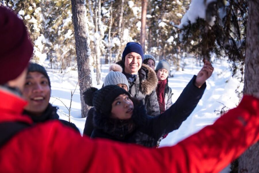 Rovaniemi: Winter Wilderness Snowshoeing Trip - Quick hits from the trail