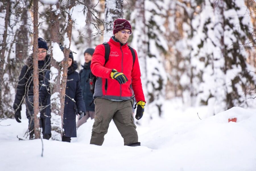 Rovaniemi: Winter Wilderness Snowshoeing Trip - Who this tour fits best (and who should skip it)