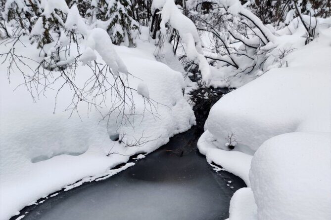 Rovaniemi: Winter Wonderland Vikaköngäs Hiking Tour & BBQ - Key things to know before you go